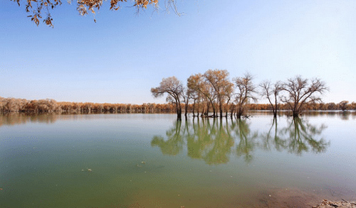 在塔里木盆地地底250米处发现水源 引起世界各国专家的旁观