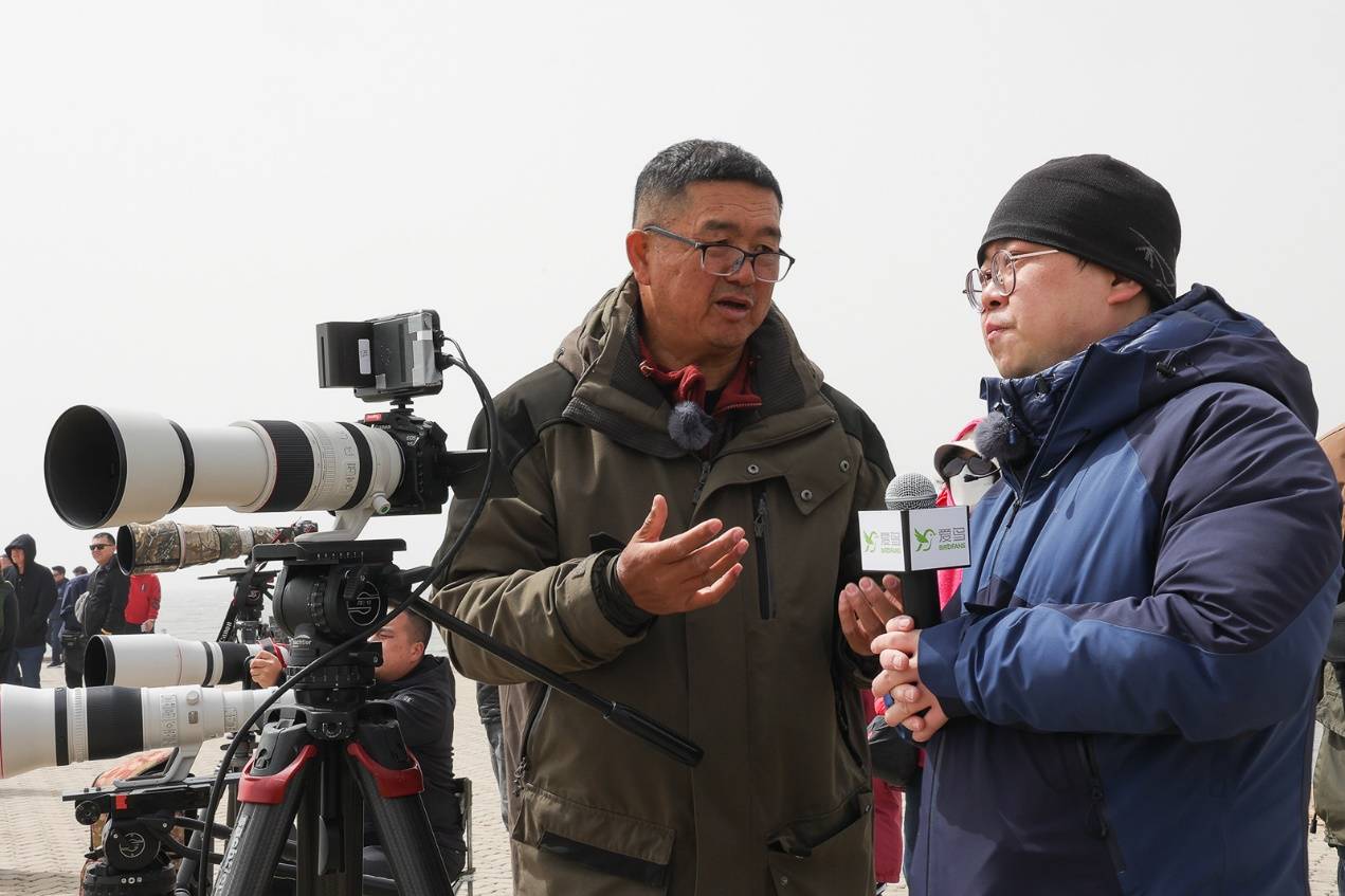 行摄生态中国 记录鸭绿江口鸟浪奇观 