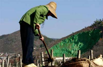 滇富民农林局油漆涂绿荒山搞“绿化”