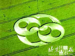 我国专家试揭近年出现的麦田怪圈之谜