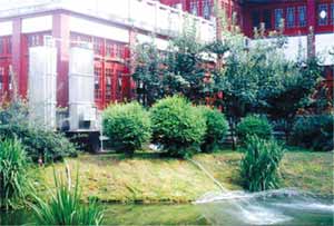 一张小小“生态床”  滤清莫愁湖（图）