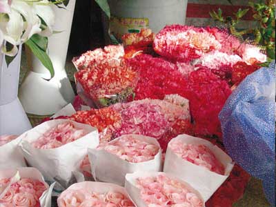 母亲节淡色鲜花走俏市场 蹿升7成(图)