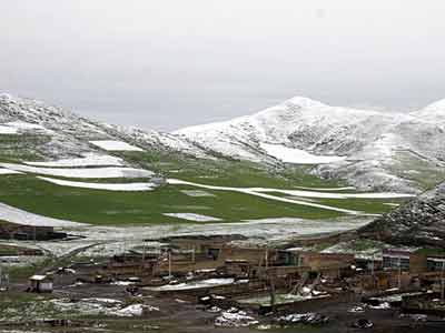 甘肃降罕见六月雪 满山绿草被白雪覆盖