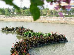 环保出新招 无居民海岛生态保护区建立