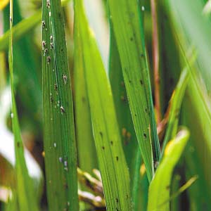 四川环保局原局长涉嫌滥用职权被起诉