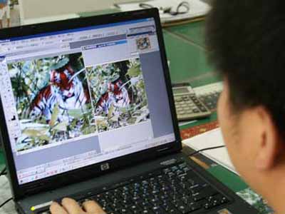 专业人员鉴定华南虎照片无造假（图）