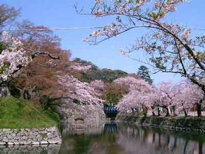 日本推环保积分制 民众考虑更换家电