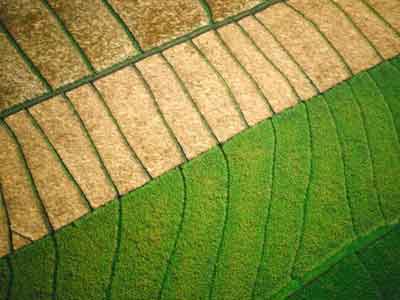 美公布新再生能源计划 产大豆生物燃料