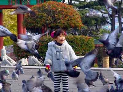 深圳娃娃成节水先锋队 关注宣教与防治