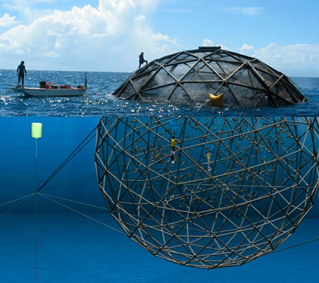 自由漂浮渔场 新发明遥控养殖网箱(图)