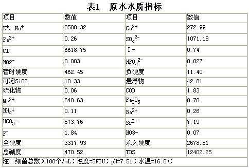 技术论文：苦咸水淡化的设计方案(图)