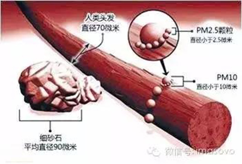 Masovo众想新风系统 雾霾围城不将就