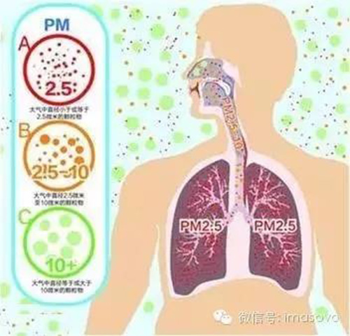 Masovo众想新风系统 雾霾围城不将就