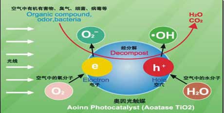 奥因环保 用科学技术治理室内污染难题