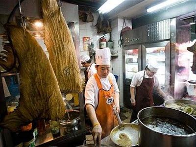 美国立法禁止鱼翅交易 违法将遭罚款