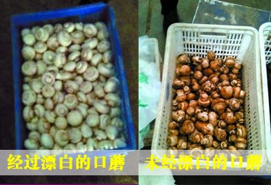 “可笑”漂白蘑菇PK：小学生赢工商局