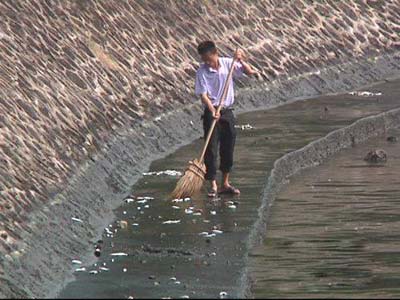 人工湖现大量死鱼 有关部门称天气原因