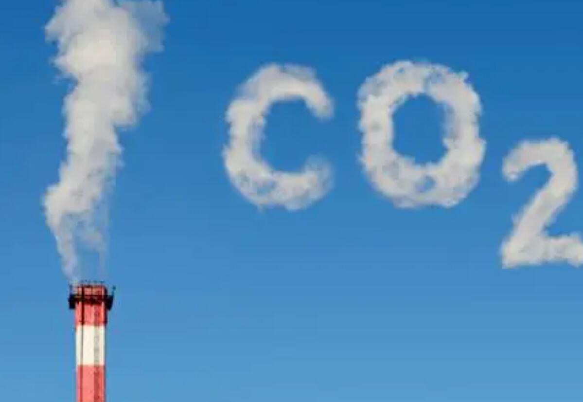 国外碳中和的法律政策和实施行动