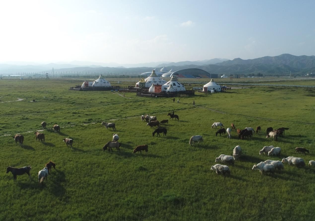 COP15开幕，看看来自内蒙古敕勒川草原的生物多样性