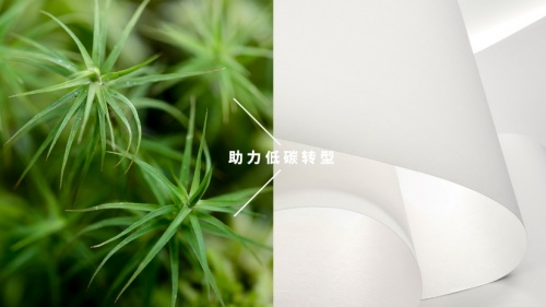 芬欧蓝泰标签发布全新可持续发展故事主线 助力行业低碳转型