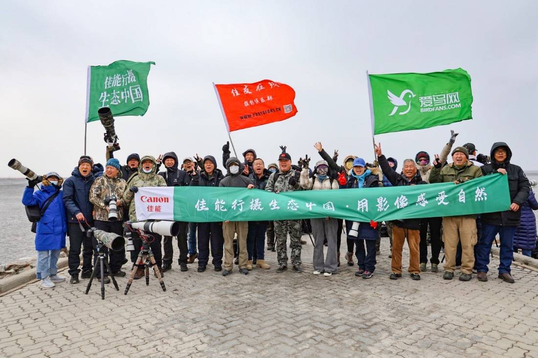 行摄生态中国 记录鸭绿江口鸟浪奇观 