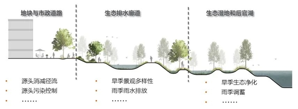 武汉首个污染“零排放”小镇 ：中法半岛小镇核心区生态排水系统综合提升规划