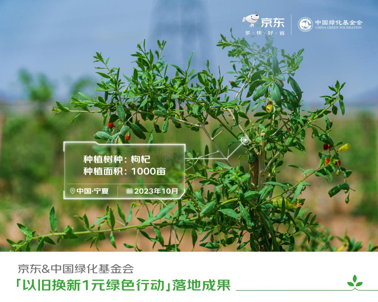 京东联合中国绿化基金会开展公益植树 推动11.11以旧换新绿色消费