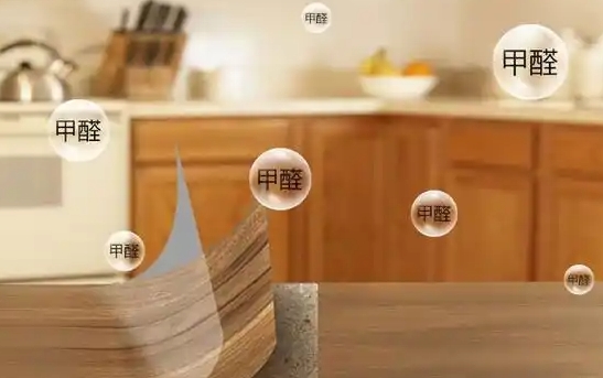 2025中国除甲醛十大公司品牌权威排名全盘点