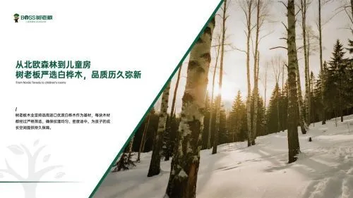 树老板木业荣膺“全国儿童板材销量第一” 以卓越品质守护中国儿童健康家居