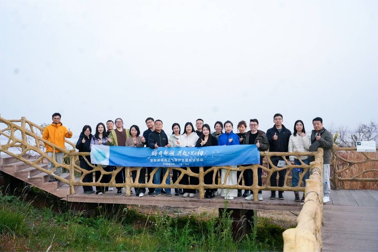 鹤舞鄱湖 科技守护候鸟万里之约 