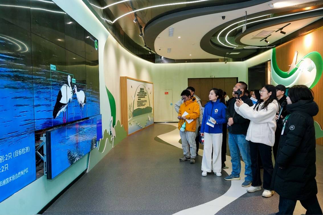 鹤舞鄱湖 科技守护候鸟万里之约 