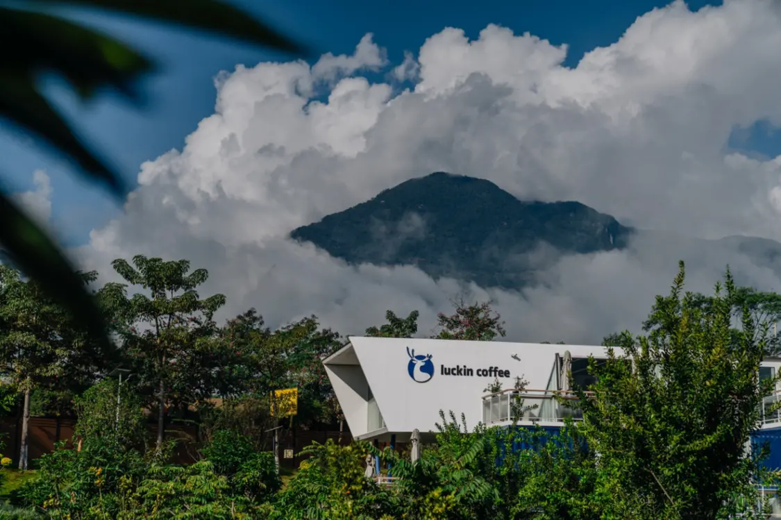 瑞幸咖啡携手2026地球一小时 共赴“自然向好”未来