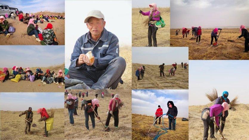 植愈地球不止十七载 悦木之源焕新公益表达「去跑树，步步算树」开启全国挑战